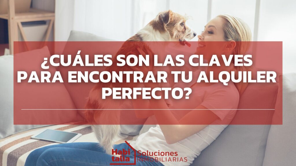 ¿Cuáles son las claves para encontrar tu alquiler perfecto?