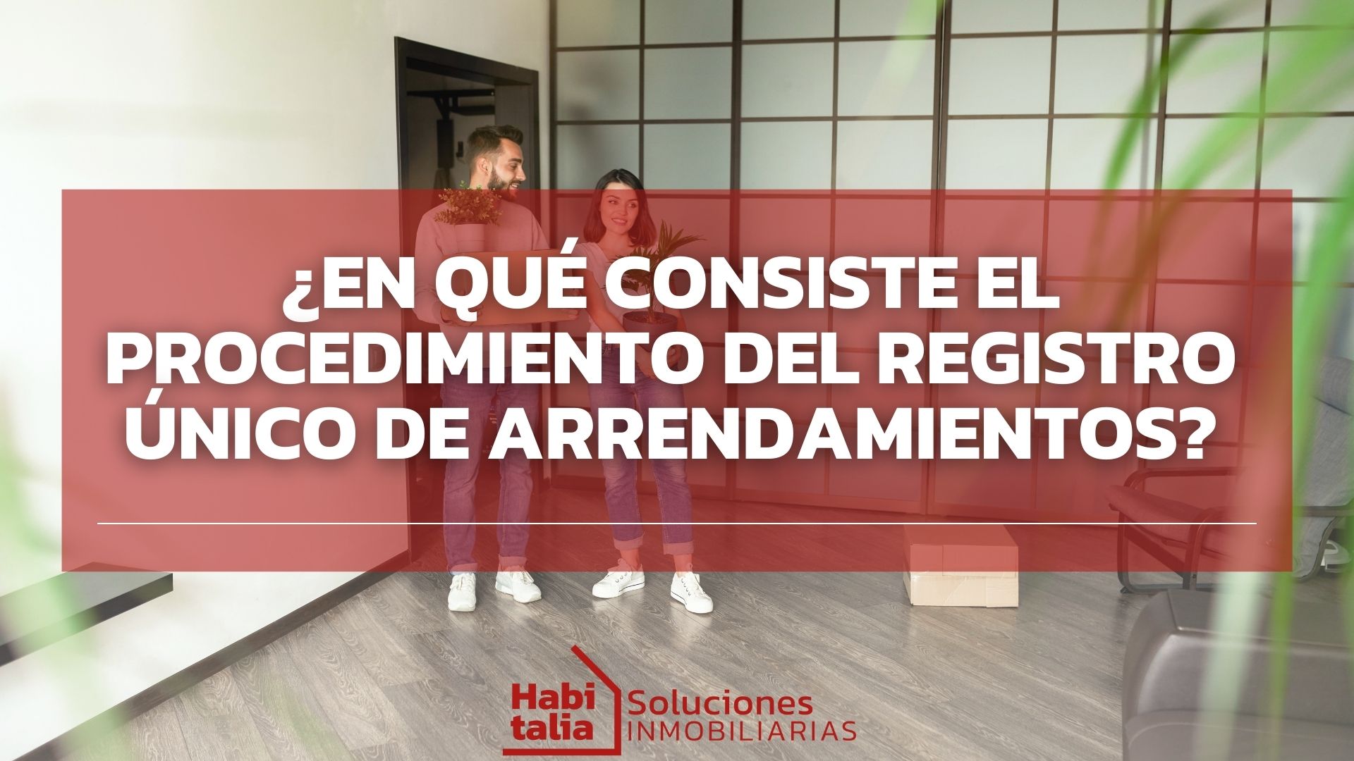 ¿En qué consiste el procedimiento del Registro Único de Arrendamientos?